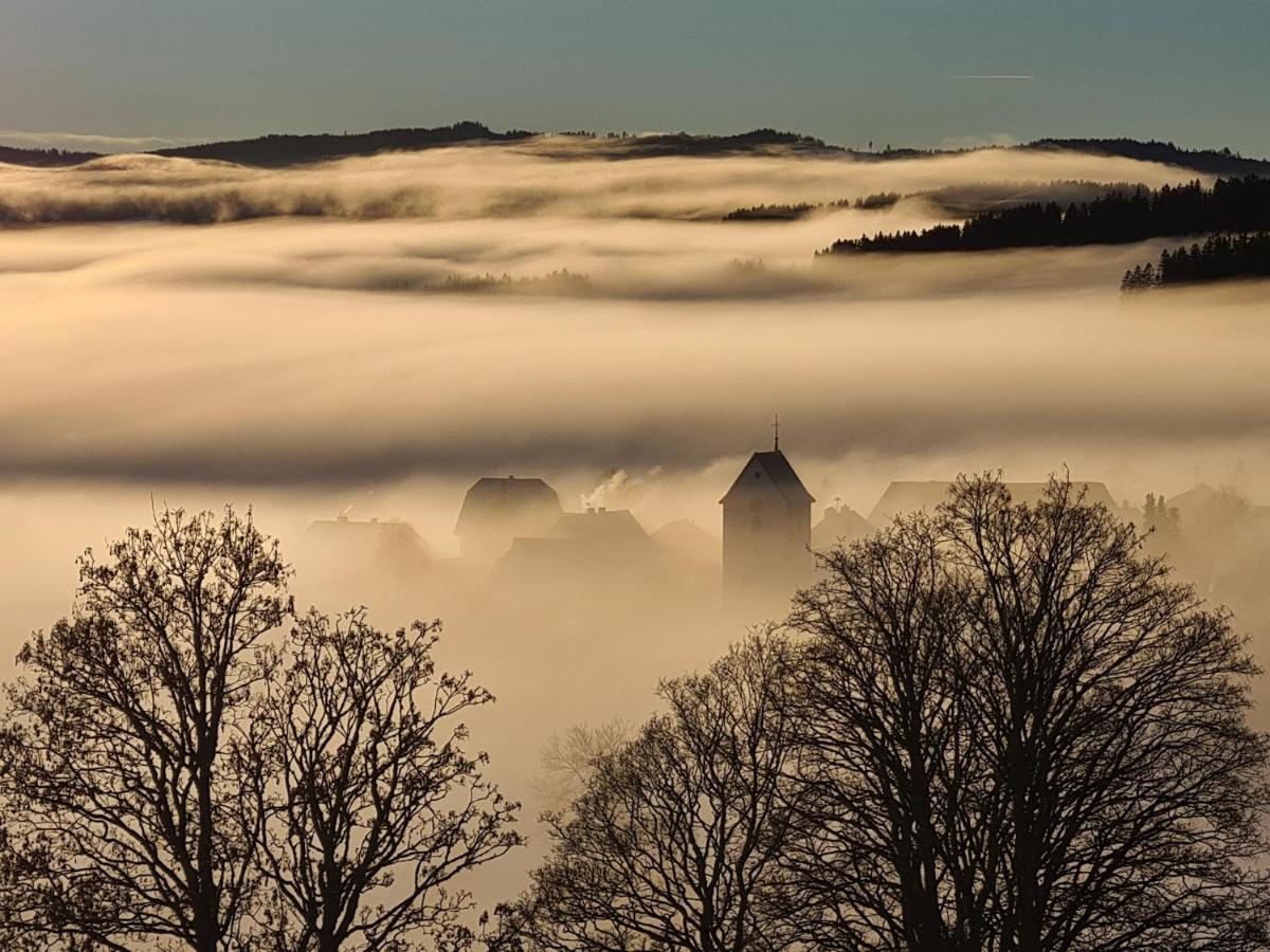 Jufa Hotel Schwarzwald Ленцкирх Экстерьер фото